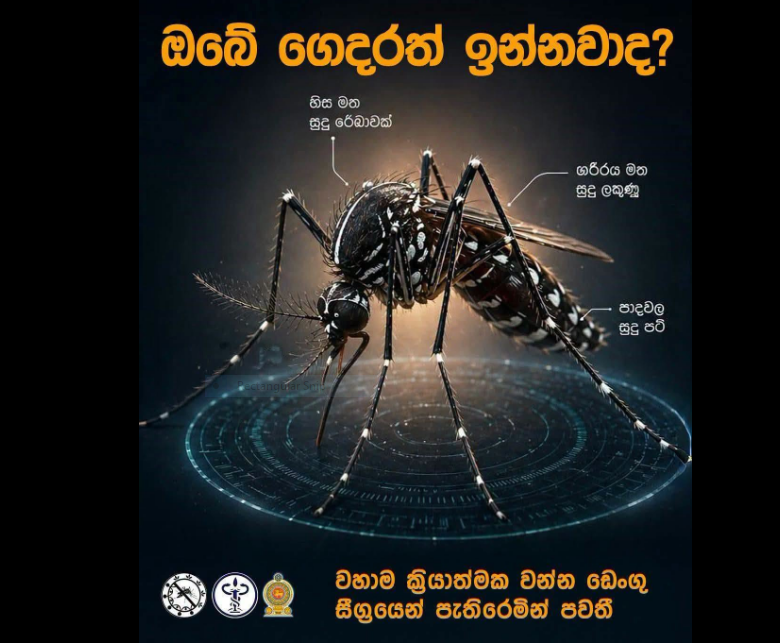 dengu